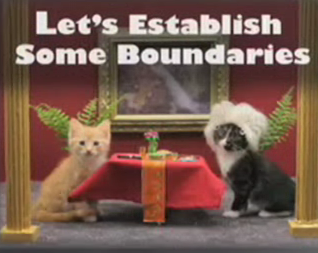 Operation Kitten Calendar, Part 3